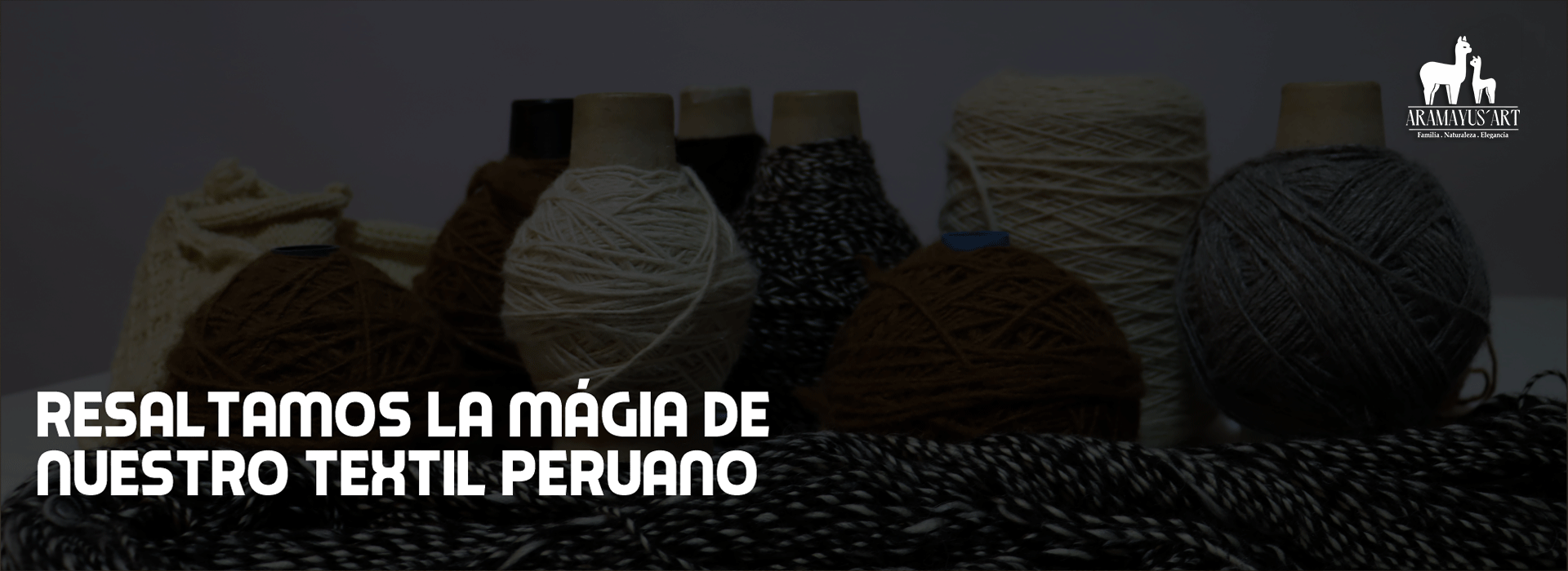 imagen carrusel