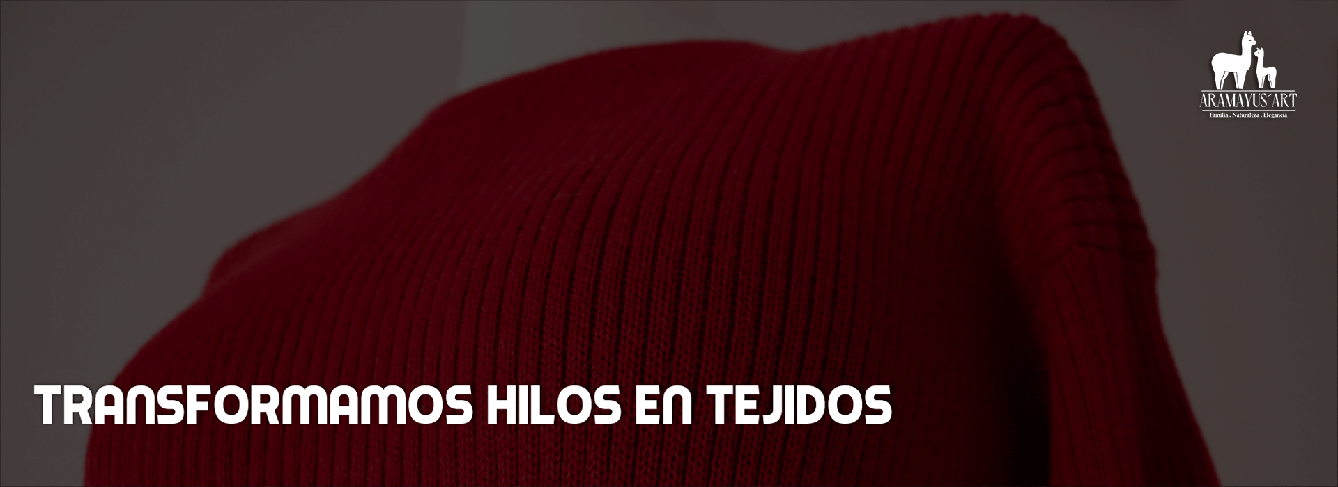 imagen carrusel